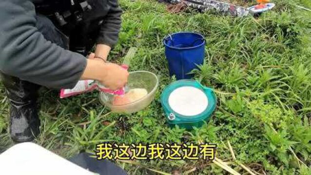 小河沟里钓了个不认识的鱼,我说是鲴鱼钓友说鲥鱼,谁对谁错?