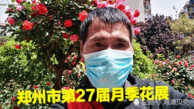 实拍郑州月季公园花展,各种花朵争奇斗艳,太漂亮了