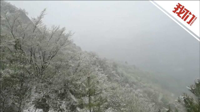 北京下雪了:昌平延庆门头沟皆有飘雪 灵山玉渡山白雪皑皑