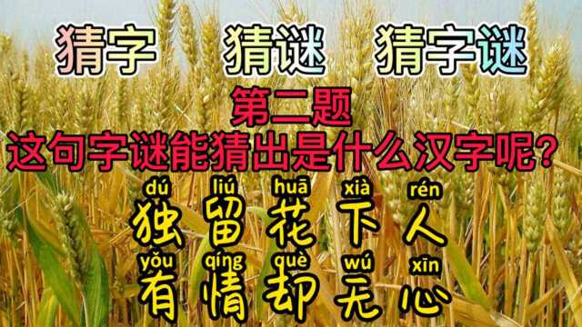 猜字谜,独留花下人,有情却无心?这是什么字呢?是形容爱情吗?