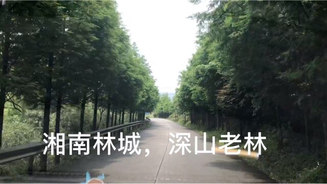 湘南林城,南岭山脉北麓欢迎您