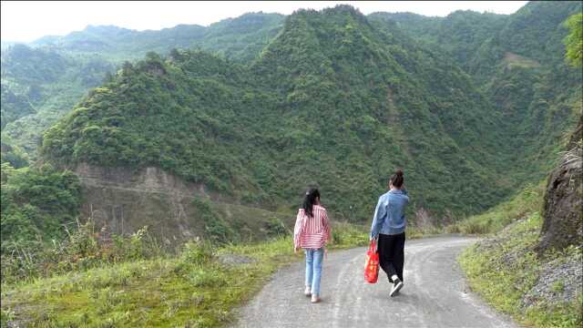 春笋生长旺季,农村成片野竹林,长满小竹笋,拔得过瘾