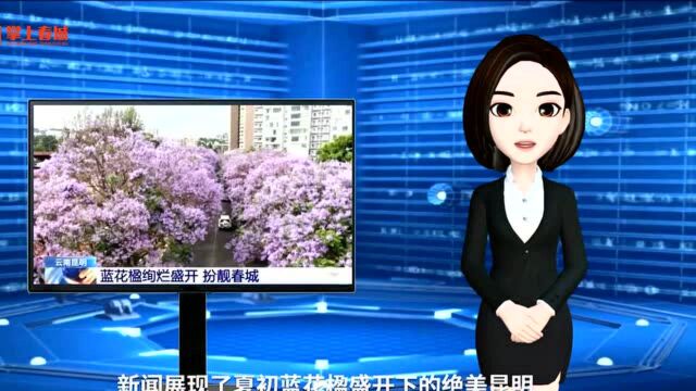 早安春城|最新!昆明住宅成交均价公布,各区价格如何?看这