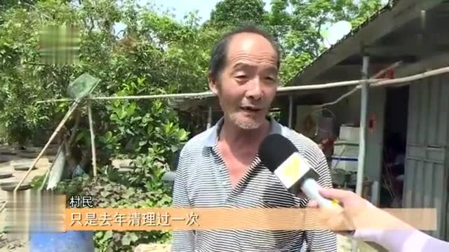 江城区:白沙街道华陈村青年运河水浮莲泛滥