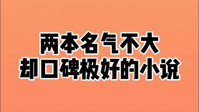 名气不大,口碑极好的小说