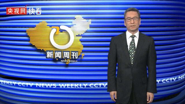 白岩松谈放开生育政策