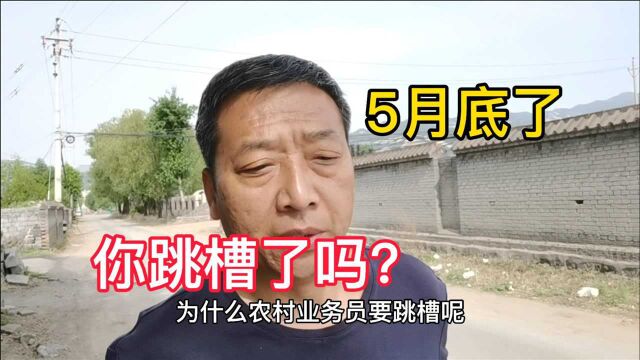 30年老农资讲:农资业务员为啥要跳槽?好扎心