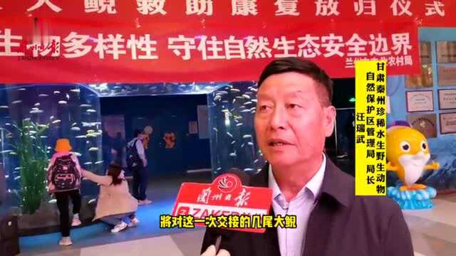 真正回归自然!兰州极地海洋世界将六只甘肃“鲵娃娃”放归栖息地