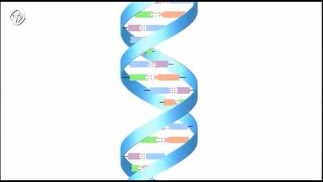 121.证明DNA半保留复制