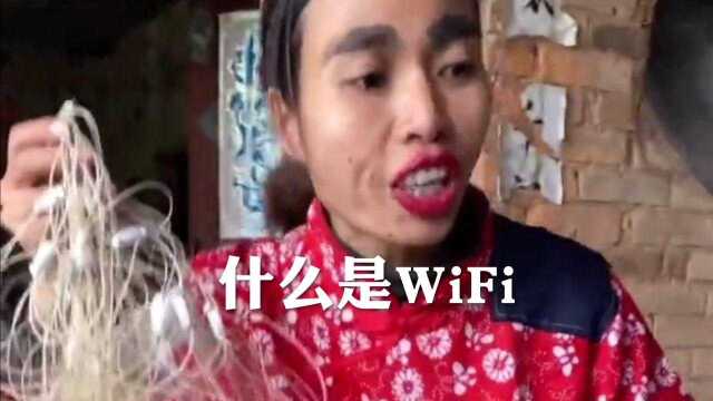 农村搞笑:丫丫姐什么是WiFi