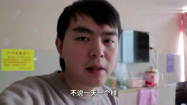 在一个非常特殊的时期,小乖有妹妹了