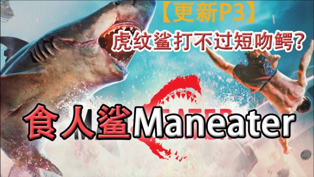 嗨氏《食人鲨Maneater》:03虎纹鲨居然打不过短吻鳄?