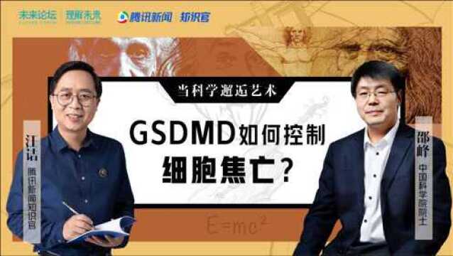 GSDMD如何控制细胞焦亡?