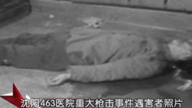 东北“二王”究竟是怎样的人,警方出动大批力量抓捕他们?|档案