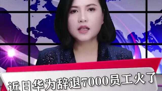 华为辞退7000员工