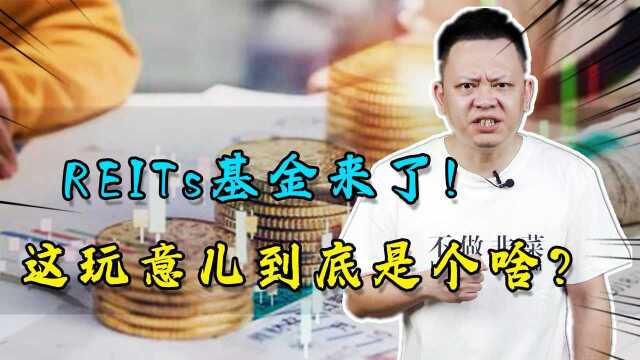 国内第一批公募REITs基金来了!这玩意到底是个啥?#生财有道话理财#