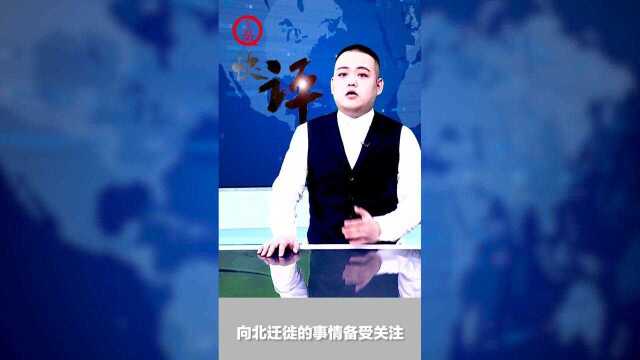 上游评论丨网络主播狂吃象群“剩饭”,就这么想挣“达不溜”吗?