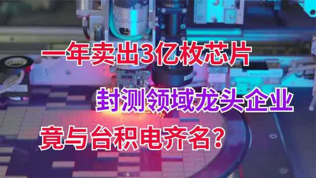 台积电不是唯一,台湾还有一家芯片龙头,一年卖出3亿枚芯片!