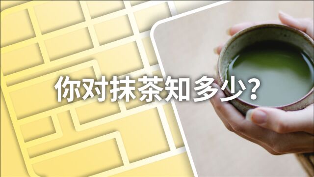 又到了喝抹茶的夏季,你知道好吃的“抹茶粉”是如何得来的吗?