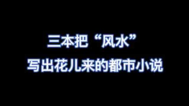 三本把风水写出花儿来的小说!