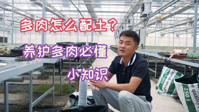 多肉养护应该怎么配土呢?除了配土还需要注意哪些问题呢?