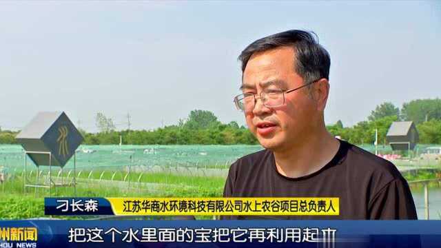 海陵区罡杨镇:稻蛙种养 尾水浇灌 绿色发展闯新路【 奋斗百年路 启航新征程ⷥœ†梦全面小康】