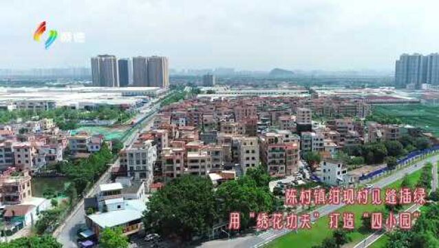 陈村 绀现|顺德“园美行动 幸福家园”四小园建设评选活动