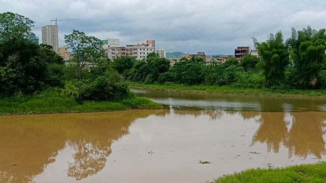 在梅州五华河琴江河两河交汇处,出现“泾渭分明”的奇特景观,两条河流一半清澈一半浑浊