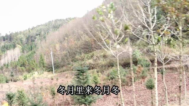 云南山歌《什么面容红通通》经典山歌,民间小调