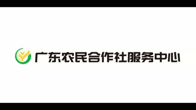 广东创新辅导服务体系建设