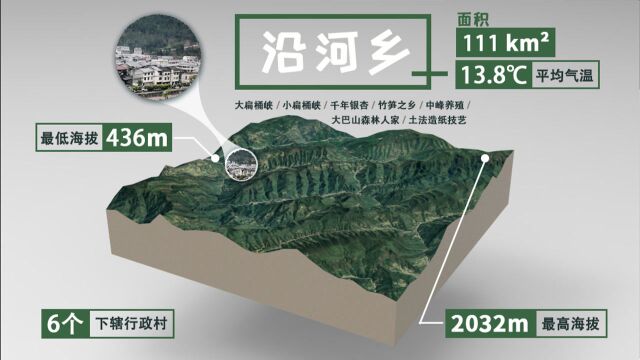 发展山地特色产业,凝心聚力共谋发展——城口县沿河乡振兴之路