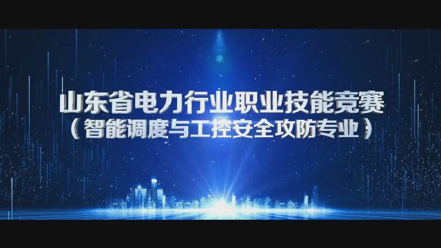 山东省电力行业职业技能竞赛 