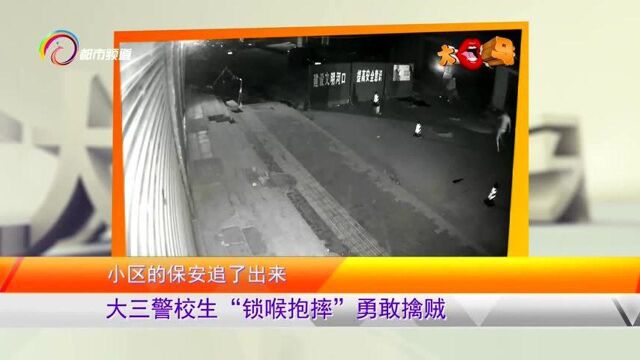 大三警校生“锁喉抱摔”勇敢擒贼