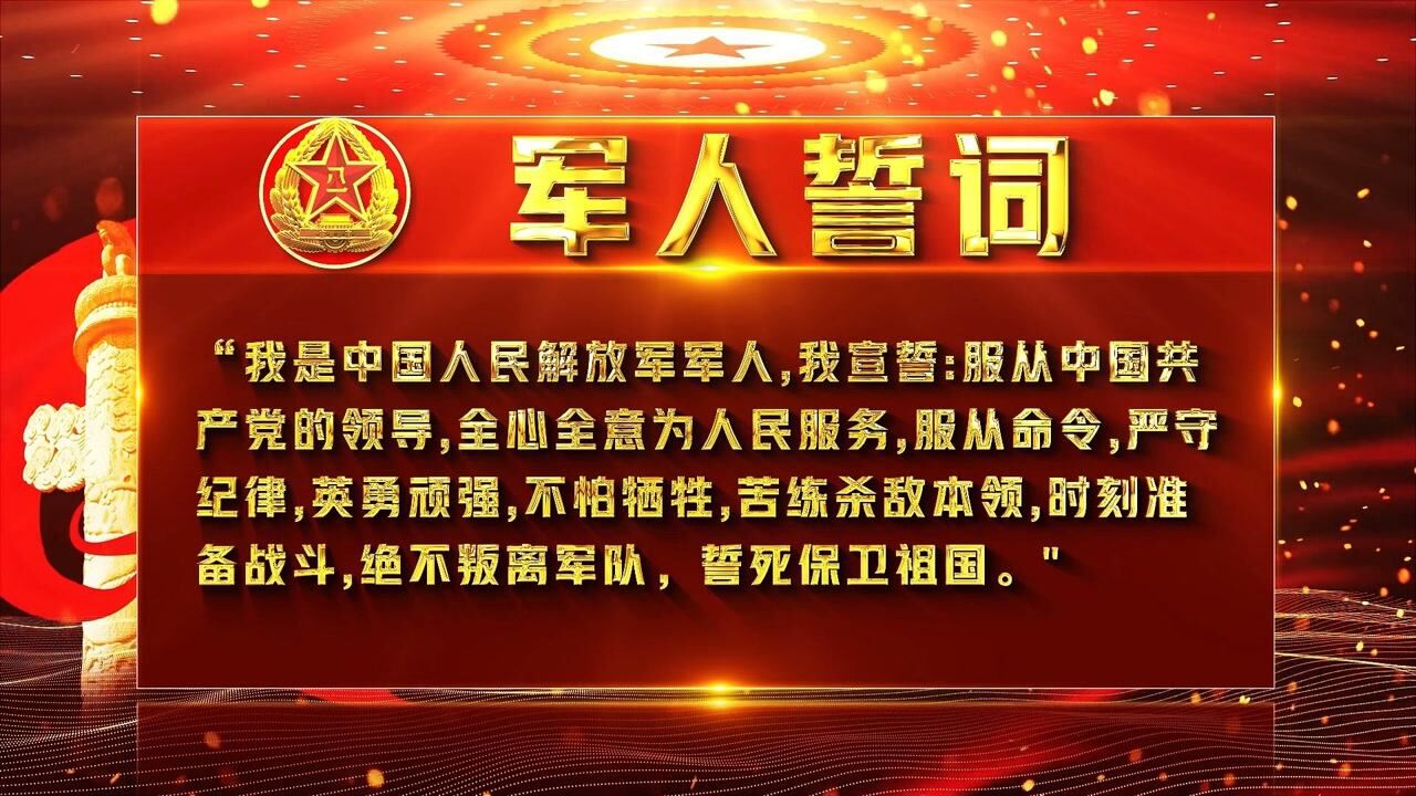 八一建军节军人誓词视频素材