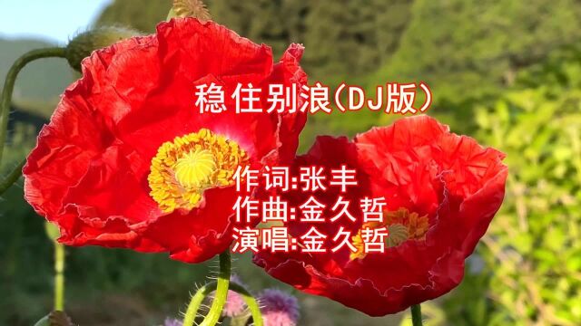 金久哲一首《稳住别浪》动感DJ版,穷也莫失志,富也莫张狂