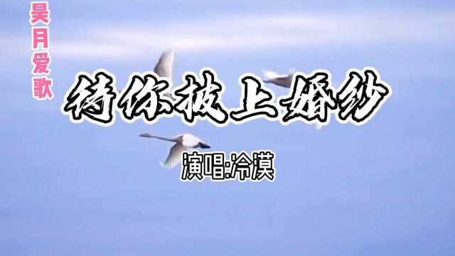 冷漠《待你披上婚纱》许我何处为家雁来雁去如初,不见你相思树下