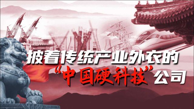 颠覆认知!揭开财富500强公司的中国企业真面目!