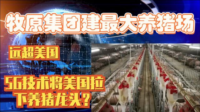 牧原集团建最大养猪场,远超美国,5G技术将美国拉下养猪龙头?