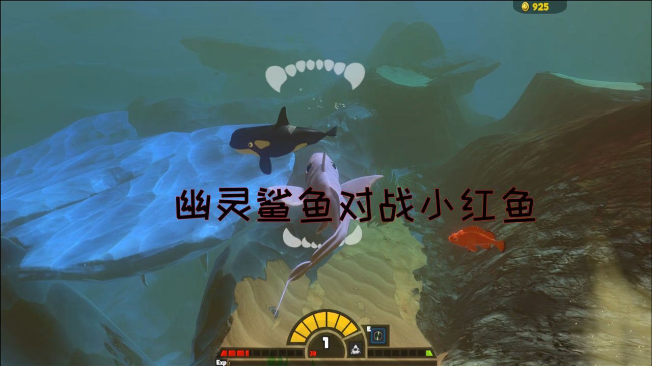海底大猎杀幽灵鲨鱼闯进小红鱼的巢穴会被直接秒杀吗