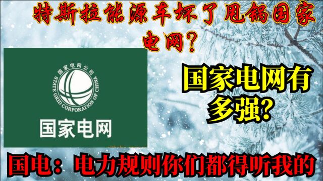 特斯拉能源车坏了甩锅国家电网?国家电网有多强?制定国际标准