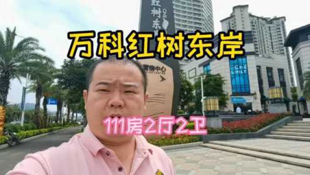 揭秘珠海唐家万科红树东岸,看看111方3房如何?