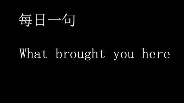 149.每日一句what brought you here?你怎么来这了?