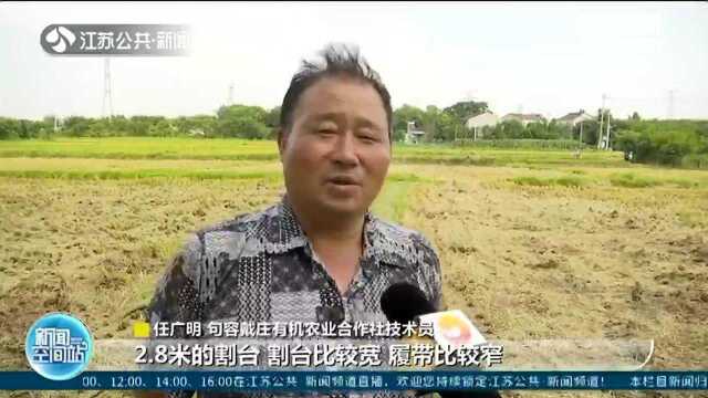 全省旱稻有机米开镰!两台新型收割机!再生稻产量在增长!