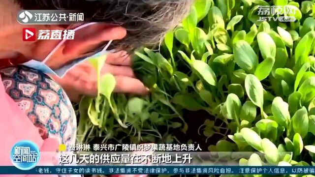 泰兴果蔬基地主动增加供货 驰援扬州“菜篮子”