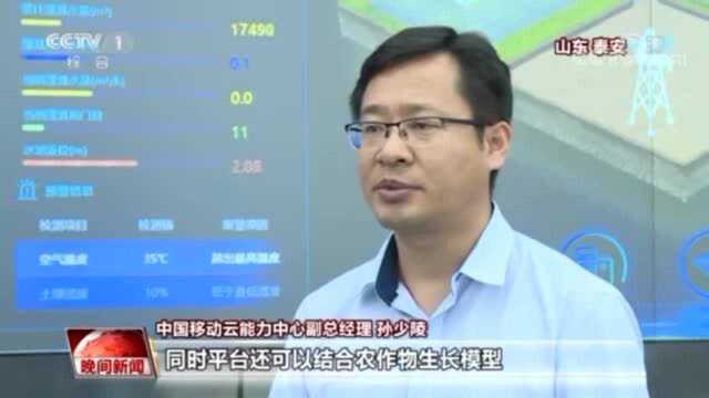 CCTV1点赞新泰智慧光伏农业!山东移动激活乡村振兴新动能