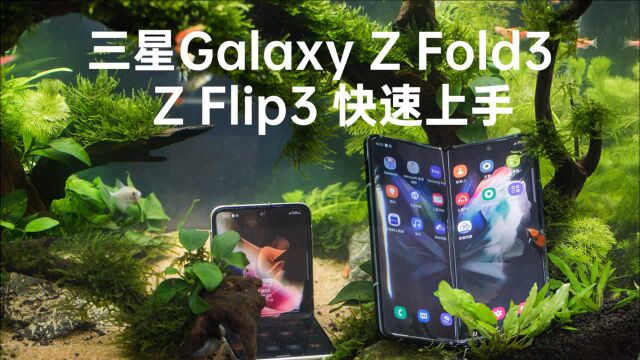 三星Galaxy Z Fold3 / Z Flip3快速上手:一款更未来,一款更普世