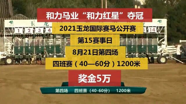 河北定州和力马业4岁新西兰纯血母马“和力红星”山西赛马夺冠