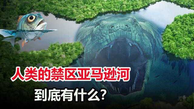 亚马逊河为何是人类禁区?在河中游泳1分钟,会发生什么?