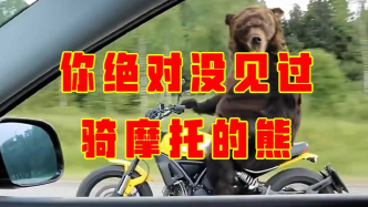 熊骑摩托在高速上，你绝对没见过吧！！#知识π计划-知识抢先知#