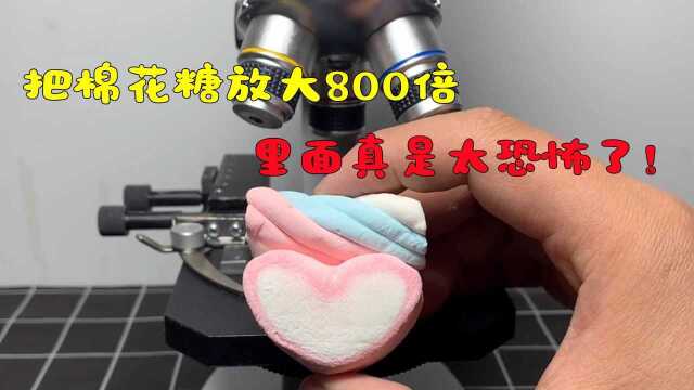 棉花糖里面有什么?把棉花糖放大800倍你会看到什么#知识ˆ’知识抢先知#